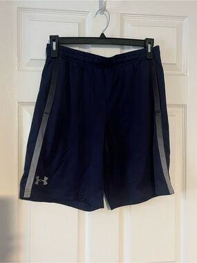 LG Navy Athletic Shorts with Gray Side Stripes